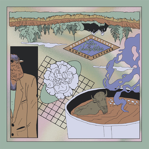 慢脚文化网站免费
