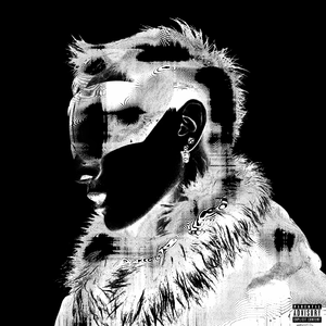 慢脚文化网站免费
